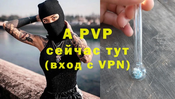 твердый Алексин