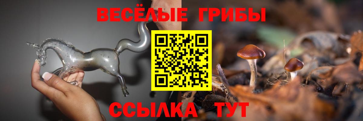 Псилоцибиновые грибы ЛСД Егорьевск